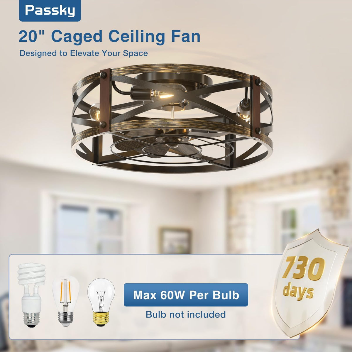 Passky 20-Inch Caged Ceiling Fan, Black Brushed Gold