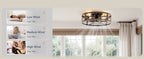 LEDIARY 20-Inch Caged Ceiling Fan, Black and Gold