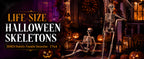 Abakuku GJ Posable Halloween Human Skeleton Set – 2pcs-36inch, White – 2pcs-36inch / White – product detail