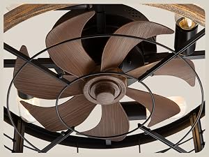 LEDIARY 20-Inch Caged Ceiling Fan, Black and Gold