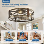 Passky 20-Inch Caged Ceiling Fan, Black Brushed Gold