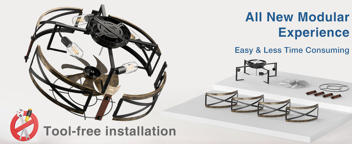 Passky 20-Inch Caged Ceiling Fan, Black Brushed Gold