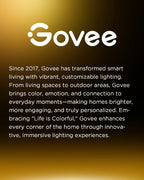 Govee 52-Inch Smart Ceiling Fan with RGBIC Lighting, Black
