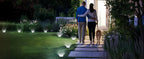 SOLPEX Solar Ground Lights, Cool White, 10-Pack