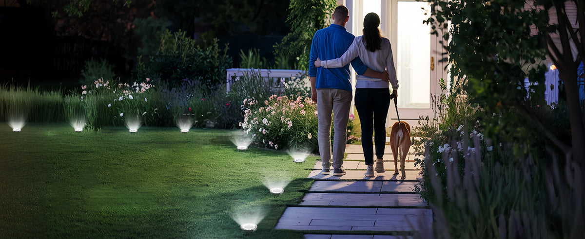 SOLPEX Solar Ground Lights, Cool White, 10-Pack