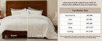 BEDELITE Queen Fleece Comforter Set, Cream White