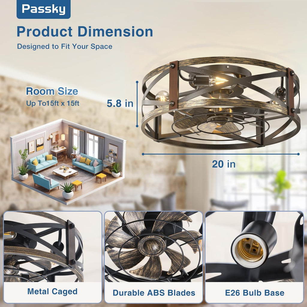 Passky 20-Inch Caged Ceiling Fan, Black Brushed Gold