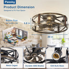 Passky 20-Inch Caged Ceiling Fan, Black Brushed Gold