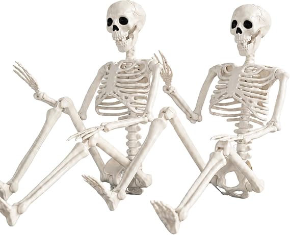 Abakuku GJ Posable Halloween Human Skeleton Set – 2pcs-36inch, White
