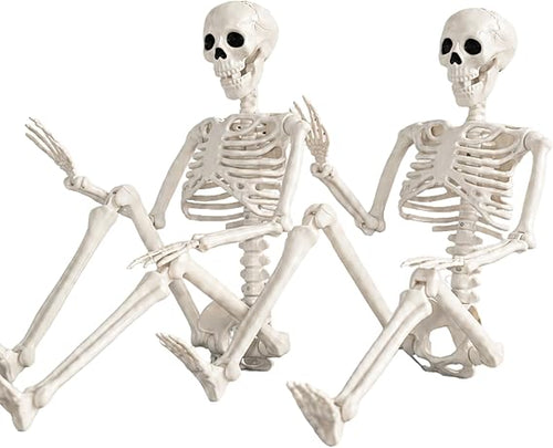 Abakuku GJ Posable Halloween Human Skeleton Set – 2pcs-36inch, White