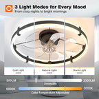 addlon 24-Inch Low-Profile Ceiling Fan with LED Light, Black