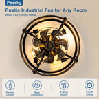 Passky 20-Inch Caged Ceiling Fan, Black Brushed Gold