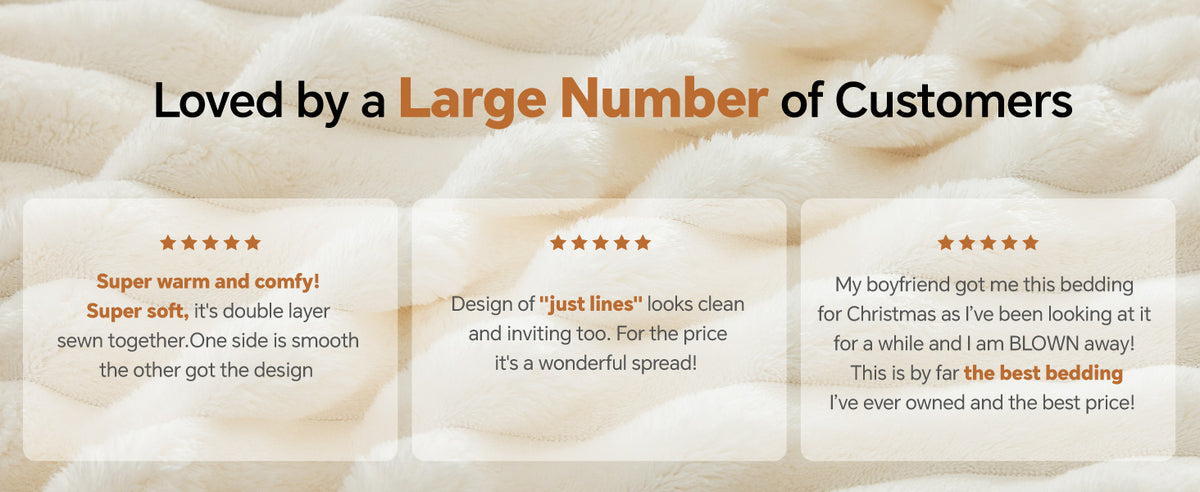 BEDELITE Queen Fleece Comforter Set, Cream White