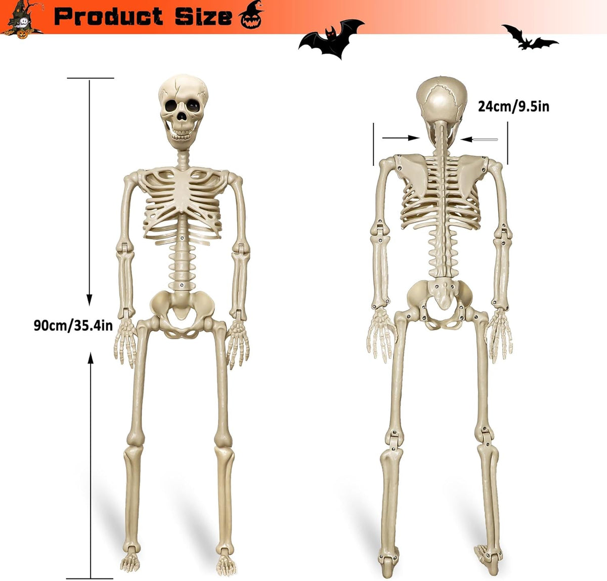 Znorso P0033A 2-Pack Posable Halloween Human Skeletons – 36 IN, White – 36 IN / White – product detail