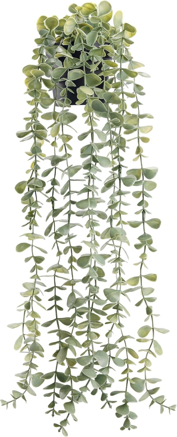 Der Rose Faux Hanging Eucalyptus in Pot, 24 in