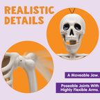 JOYIN 15668 5-Pack 16-Inch Posable Halloween Skeletons – Original – product detail