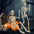 Znorso P0033A 2-Pack Posable Halloween Human Skeletons – 36 IN, White – 36 IN / White – product detail