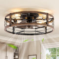 LEDIARY 20-Inch Caged Ceiling Fan, Black and Gold