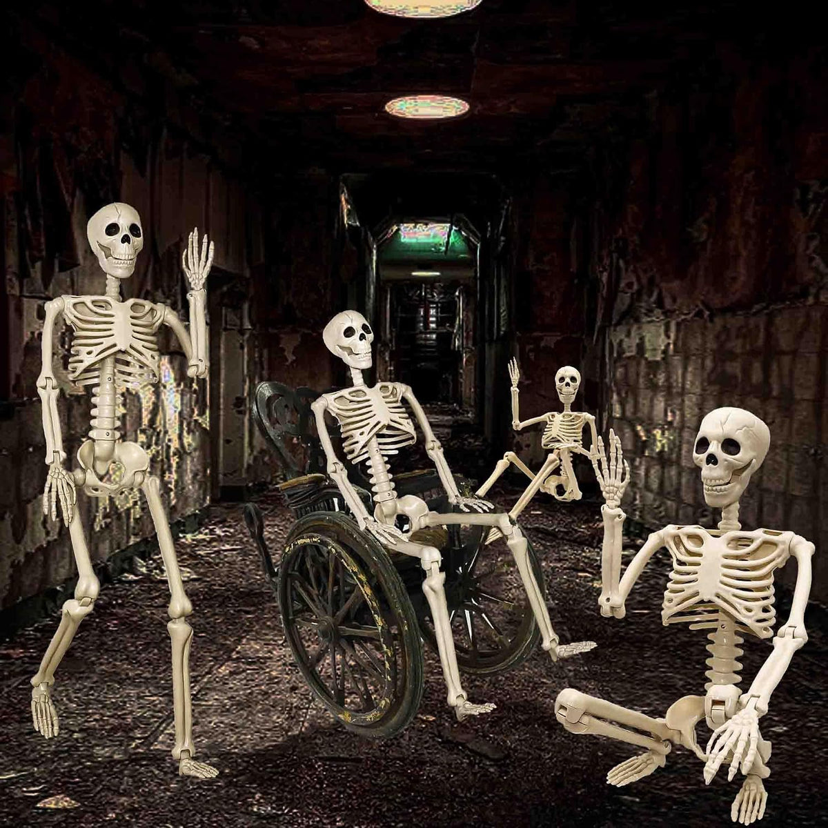 Znorso P0033A 2-Pack Posable Halloween Human Skeletons – 36 IN, White – 36 IN / White – product detail