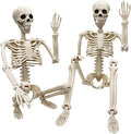 Znorso P0033A 2-Pack Posable Halloween Human Skeletons – 36 IN, White