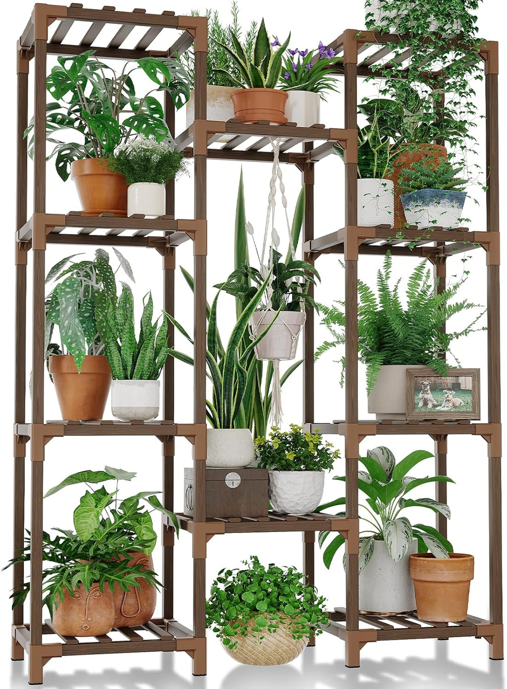 Bamworld Wooden Plant Display Stand, Brown, Cabinet Style