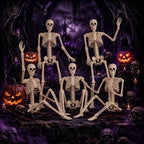 Abakuku GJ Posable Halloween Human Skeleton Set – 2pcs-36inch, White – 2pcs-36inch / White – product detail