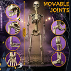 wymulot 2-Pack 40-Inch Posable Halloween Skeletons – 2 Pack 40 Inches Halloween Skeleton – product detail