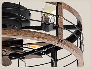 LEDIARY 20-Inch Caged Ceiling Fan, Black and Gold