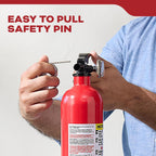 Kidde Basic 110 FA110G Home Fire Extinguisher, 1-Pack