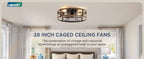 LEDIARY 20-Inch Caged Ceiling Fan, Black and Gold