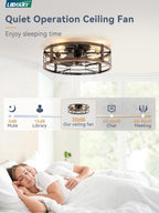 LEDIARY 20-Inch Caged Ceiling Fan, Black and Gold