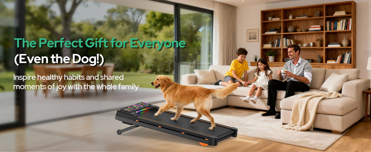 Rayspace D1 Under-Desk Walking Treadmill – Black – product detail