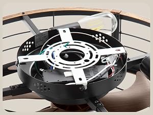LEDIARY 20-Inch Caged Ceiling Fan, Black and Gold