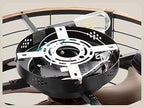 LEDIARY 20-Inch Caged Ceiling Fan, Black and Gold