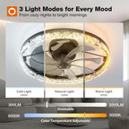 addlon 20-Inch Low-Profile Ceiling Fan with LED Light, Black